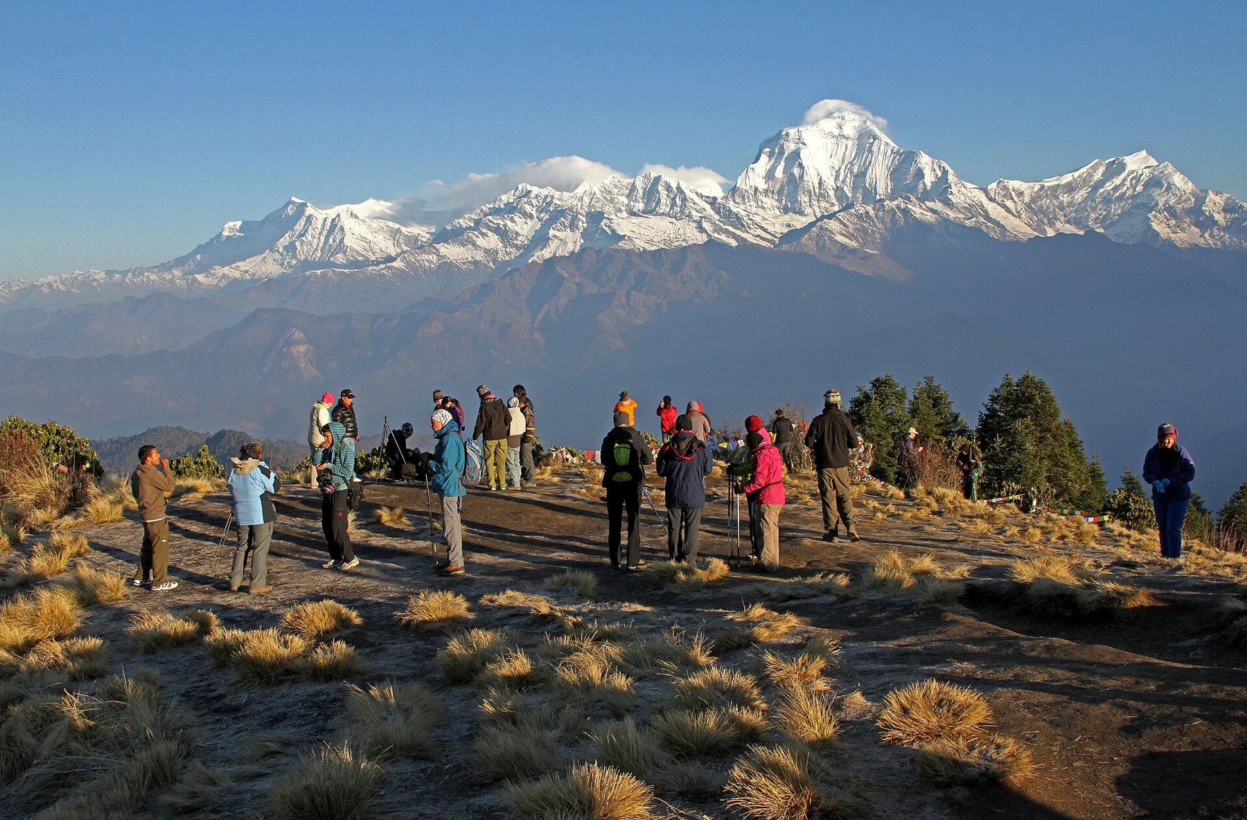 Poon Hill