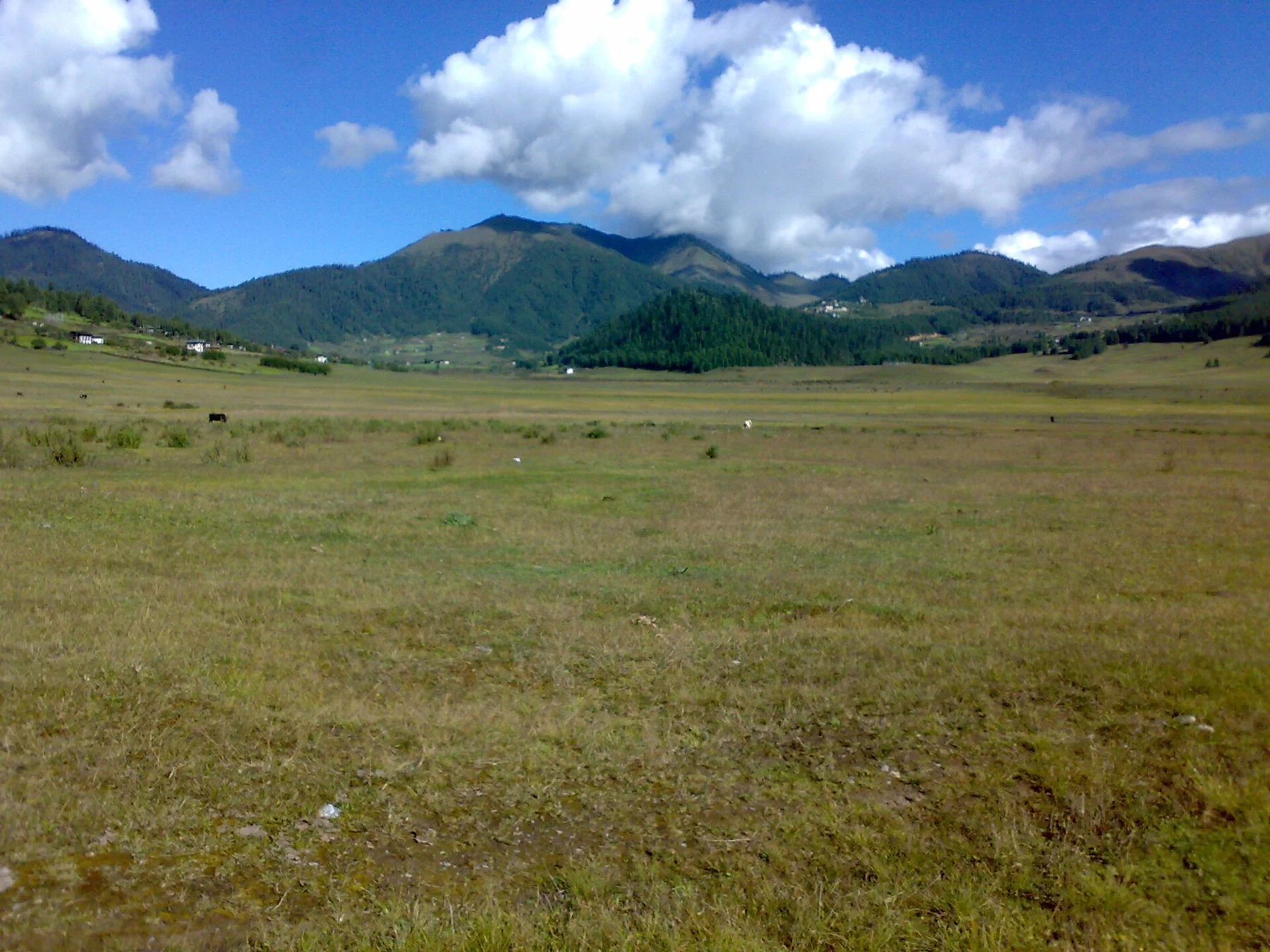 Prairies de la vallée de Phobjikha
