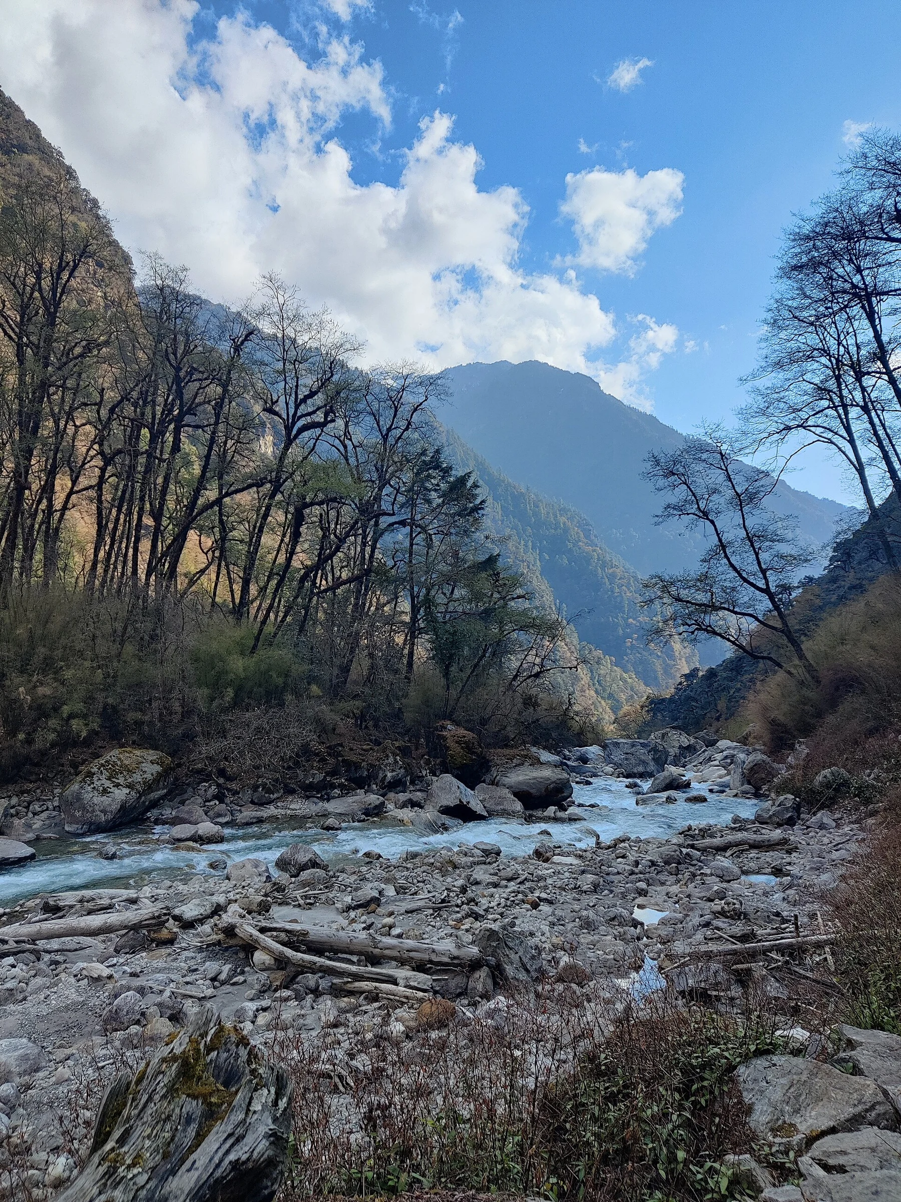 Vallée du Langtang