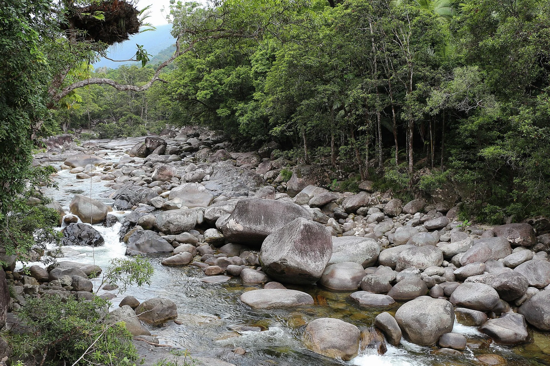 Gorge de Mossman