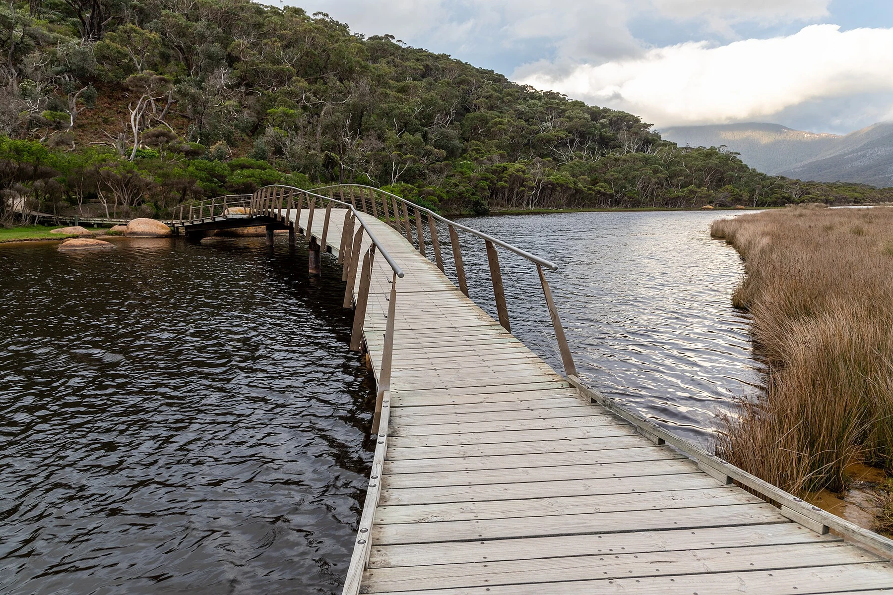 Tidal River