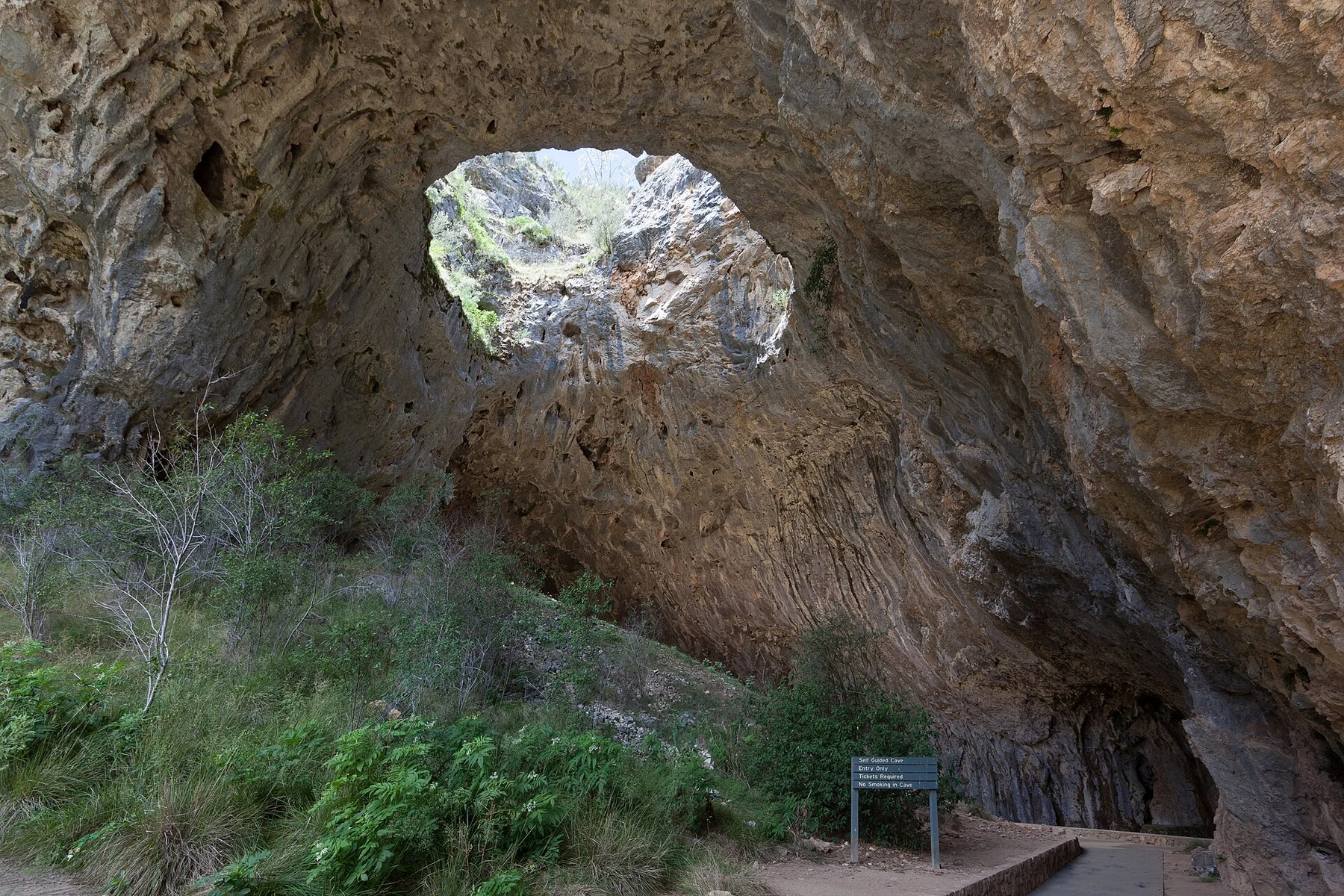 Grottes de Yarrangobilly