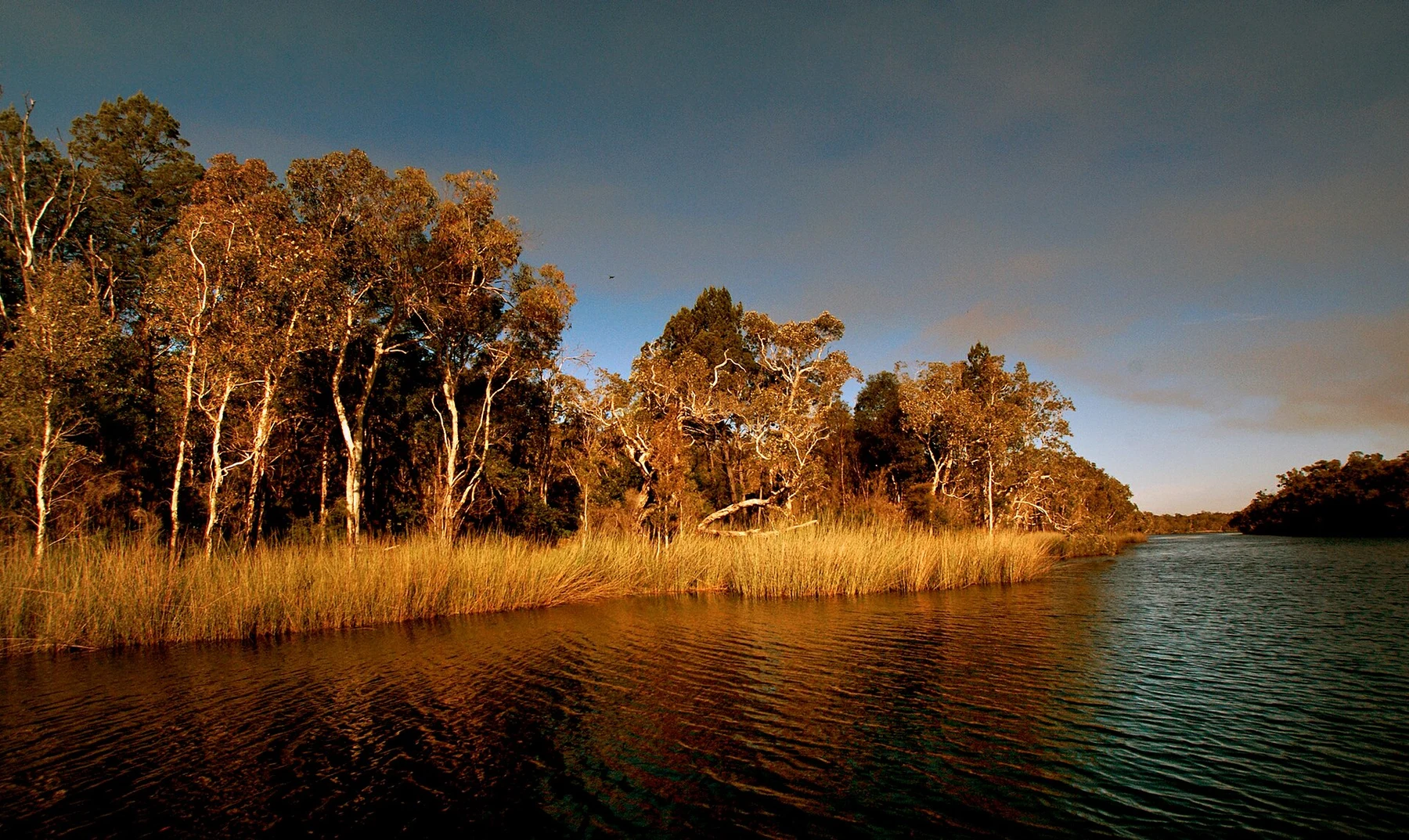 Everglades de Noosa