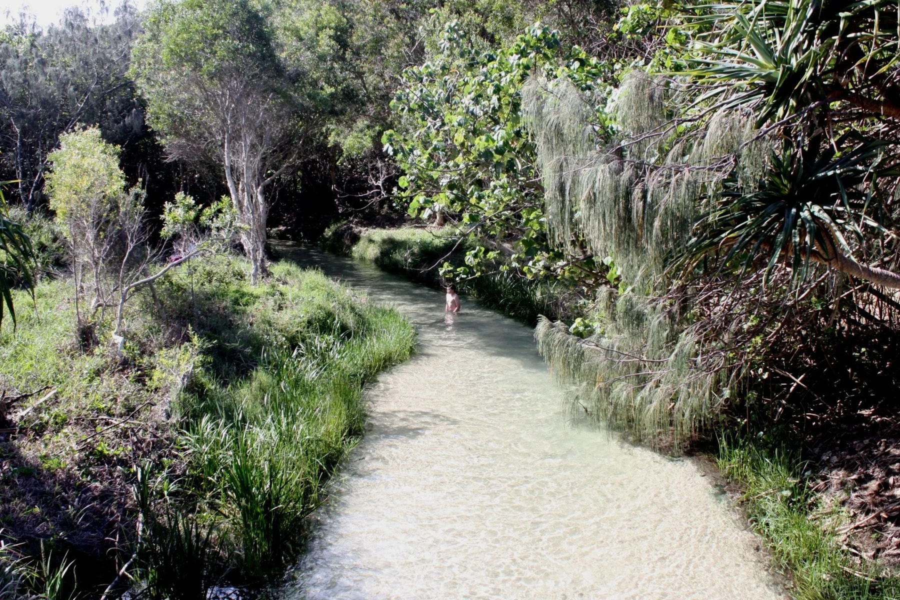 Eli Creek