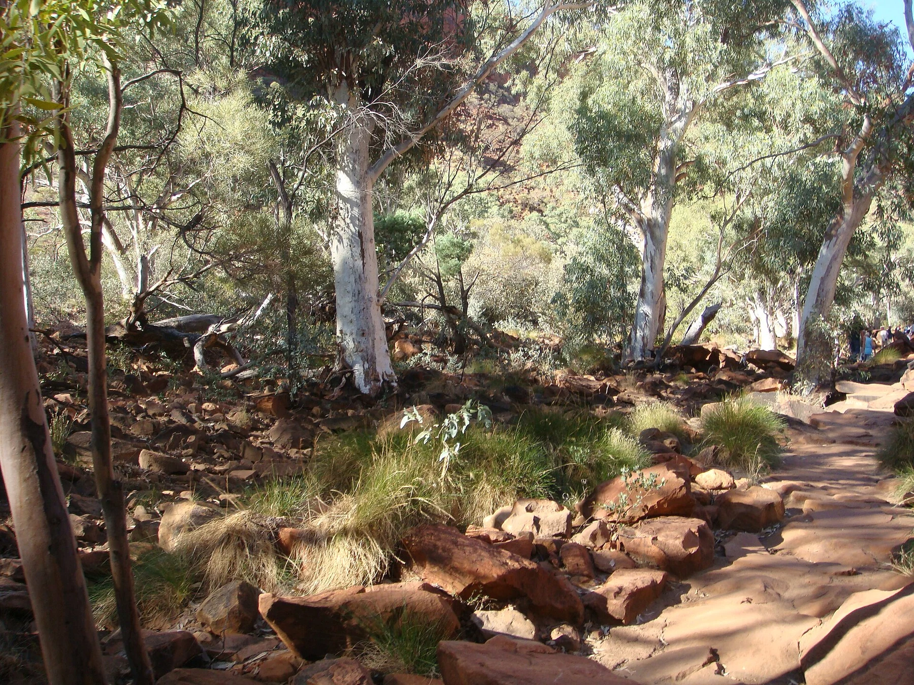 Kings Creek