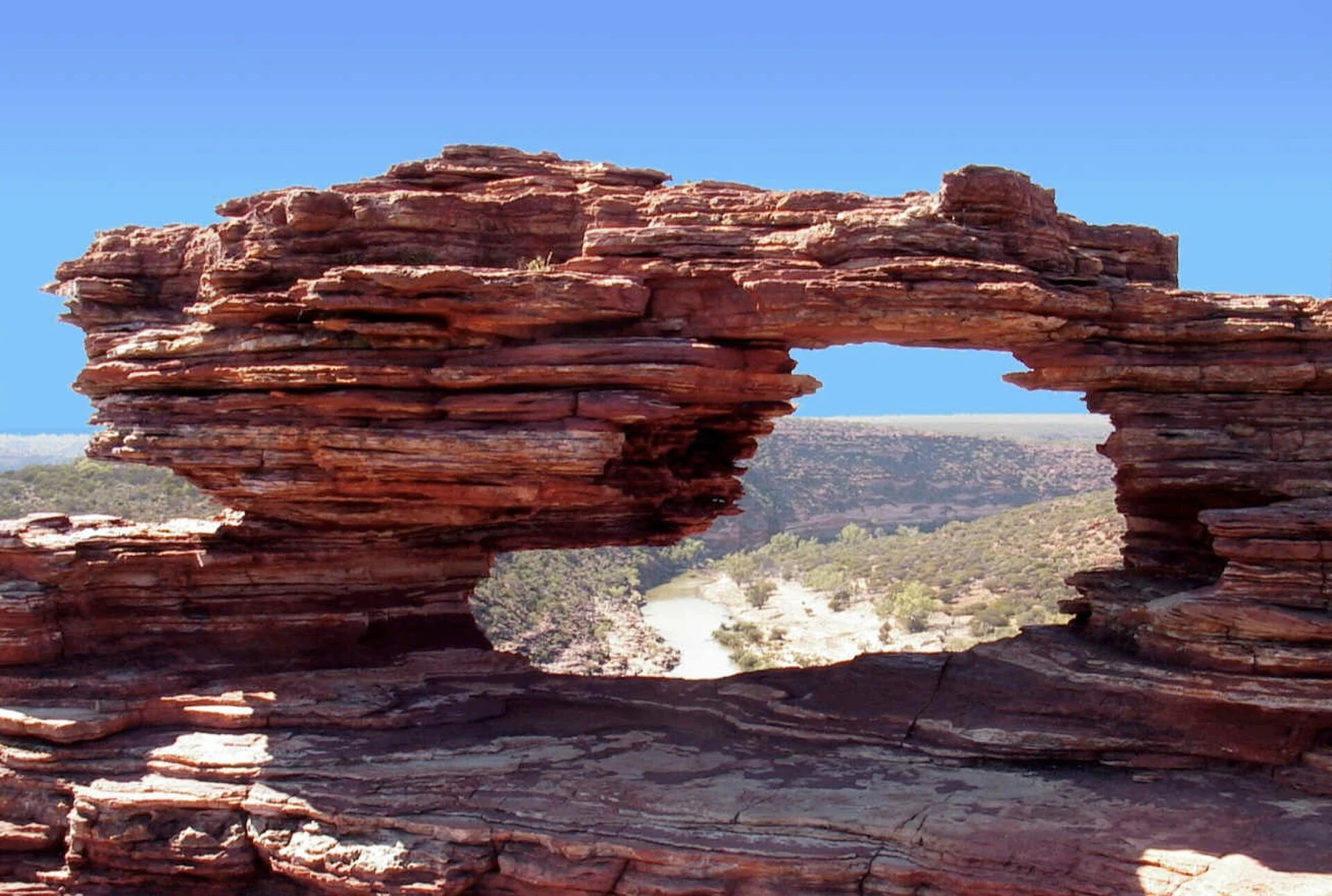 Nature’s Window