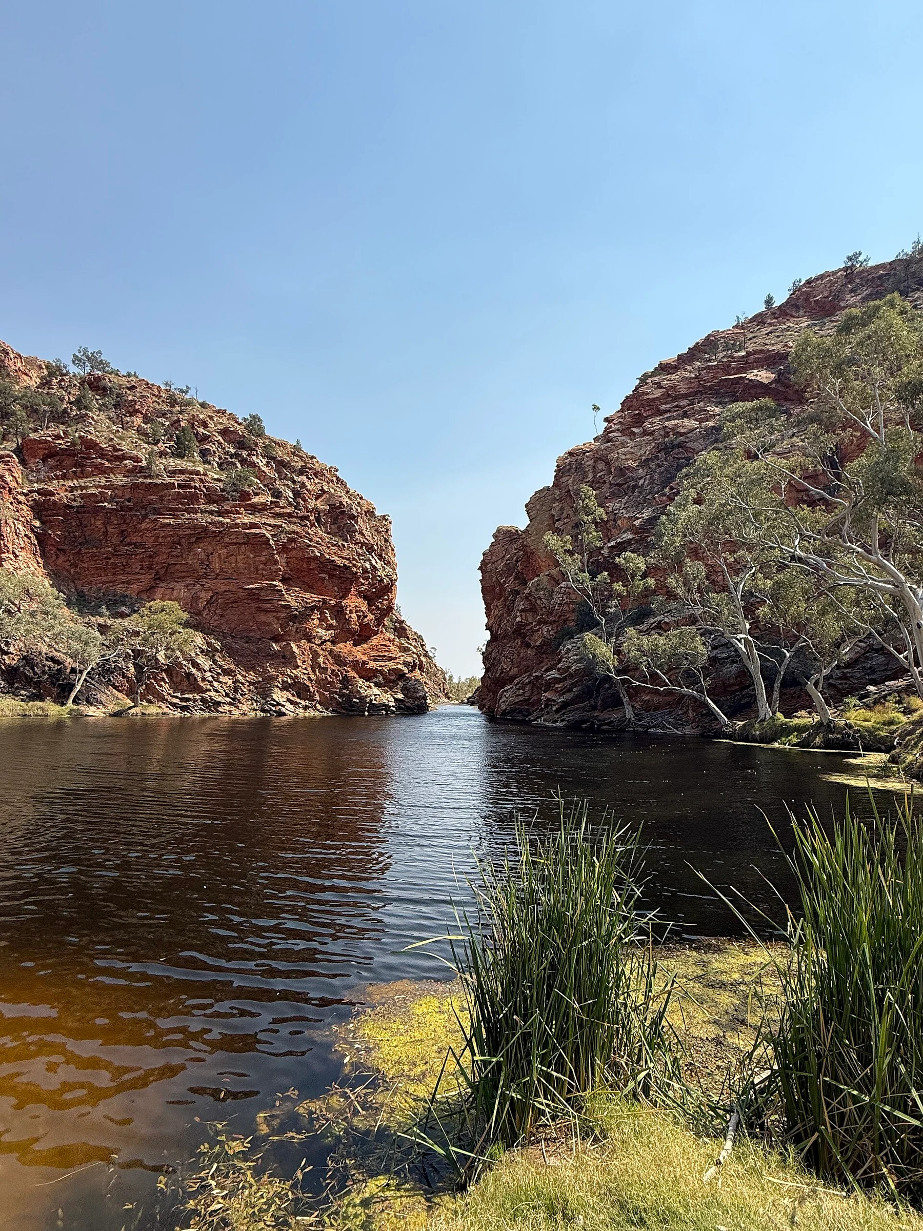Ellery Creek Big Hole