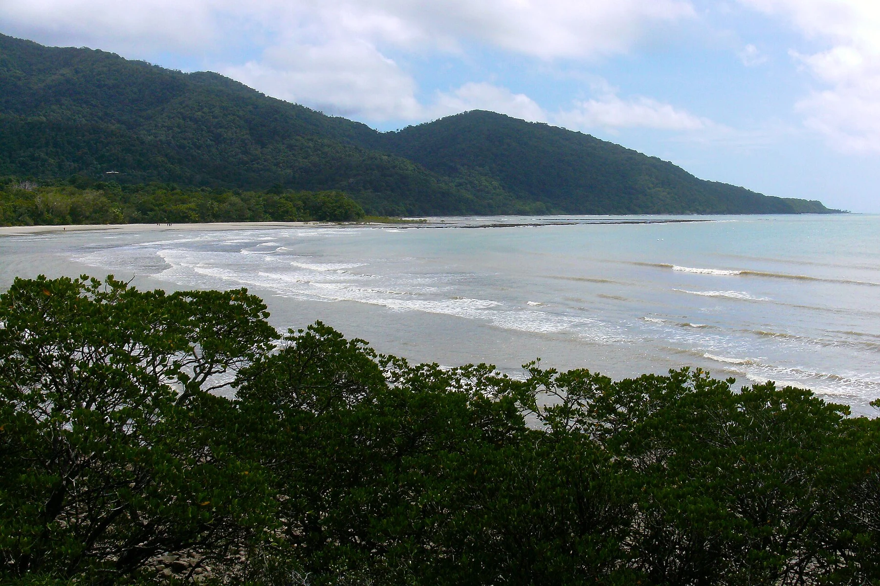 Cape Tribulation
