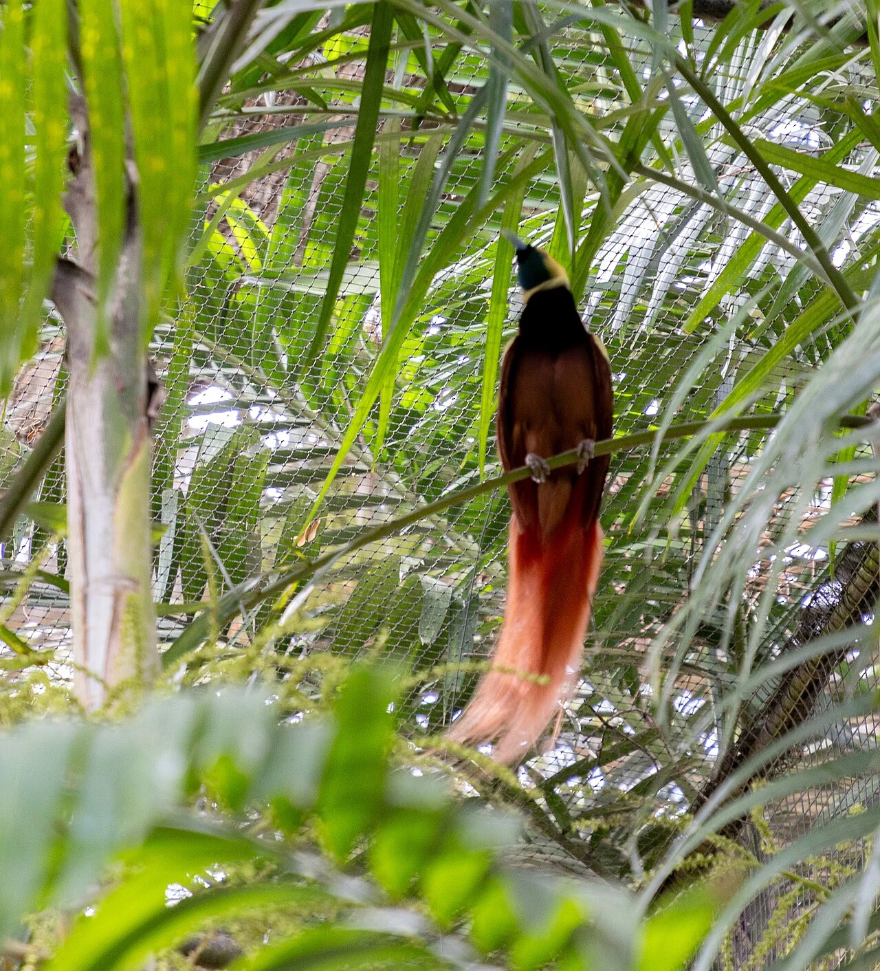 Port Moresby Nature Park