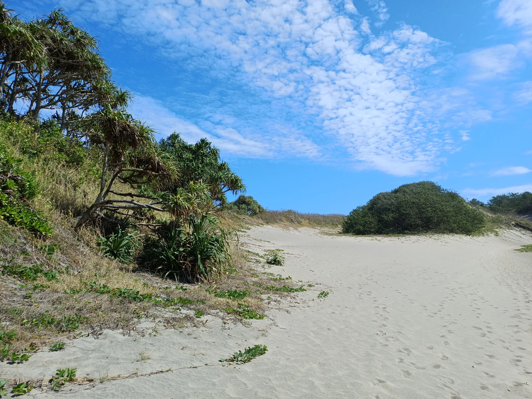 Dunes de Sigatoka