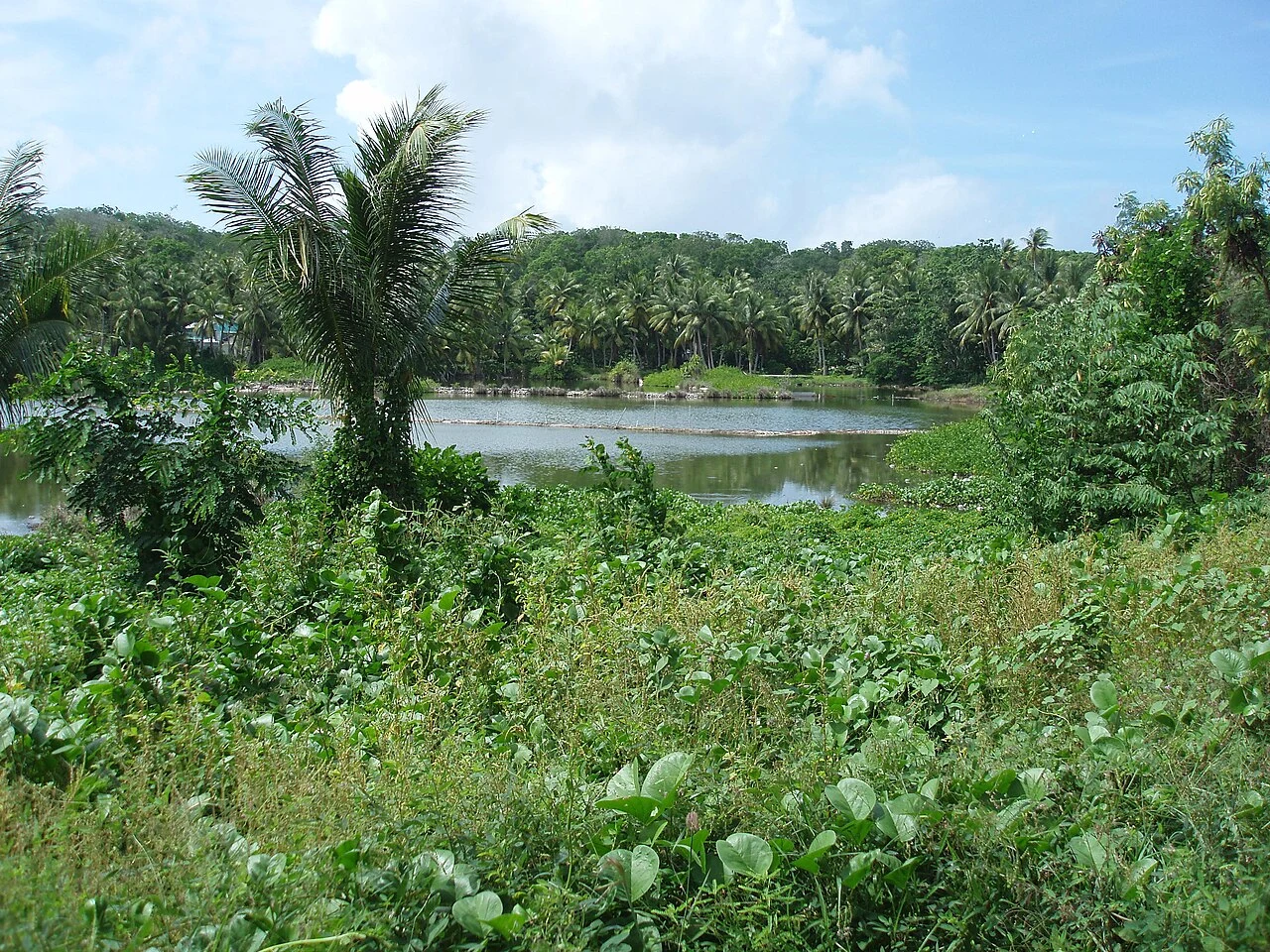 Lagune de Buada
