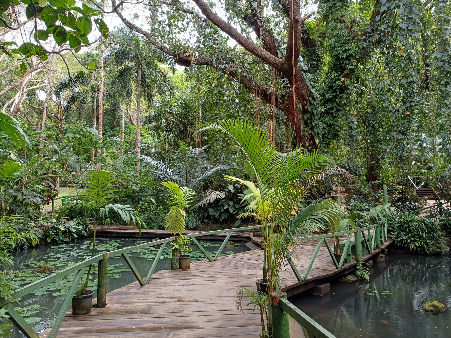 Garden of the Sleeping Giant