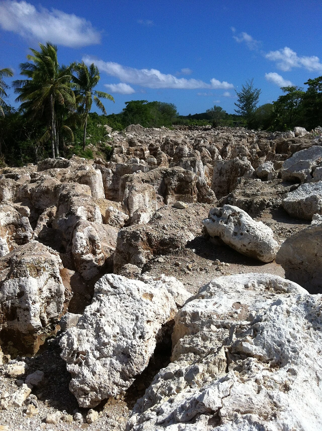 Plateau de Topside