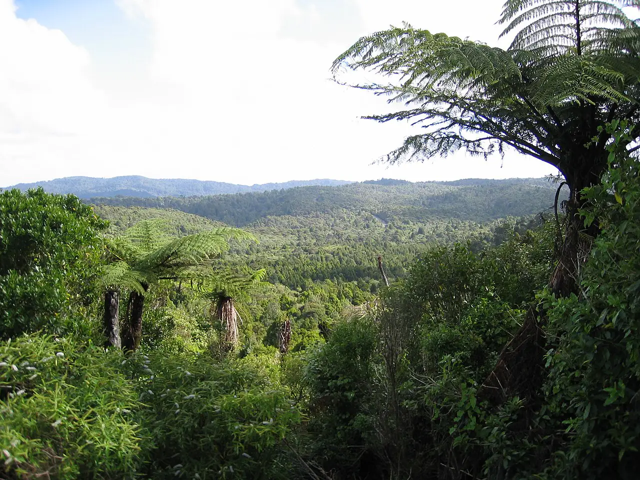 Waitākere Ranges
