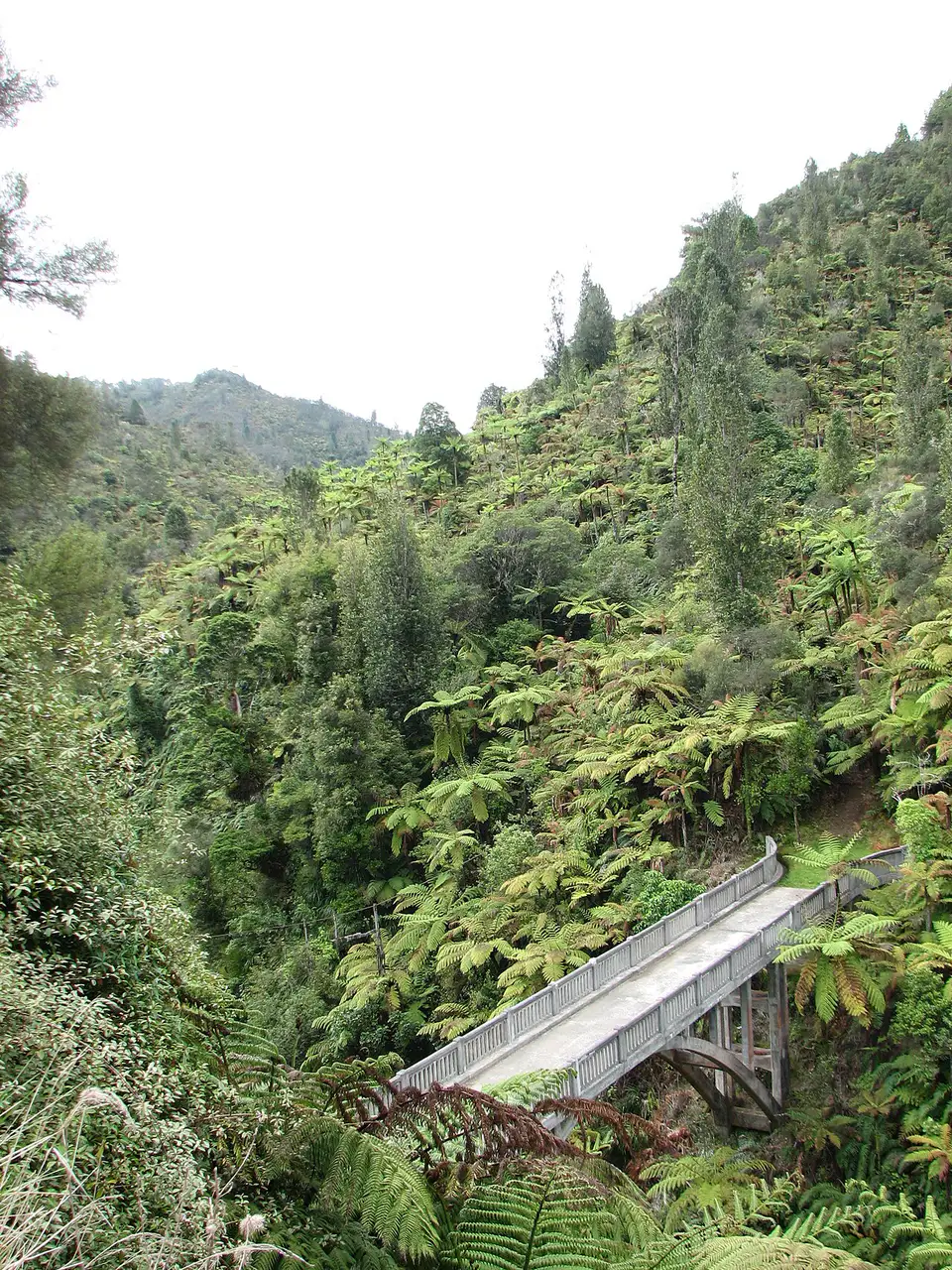 Whanganui National Park