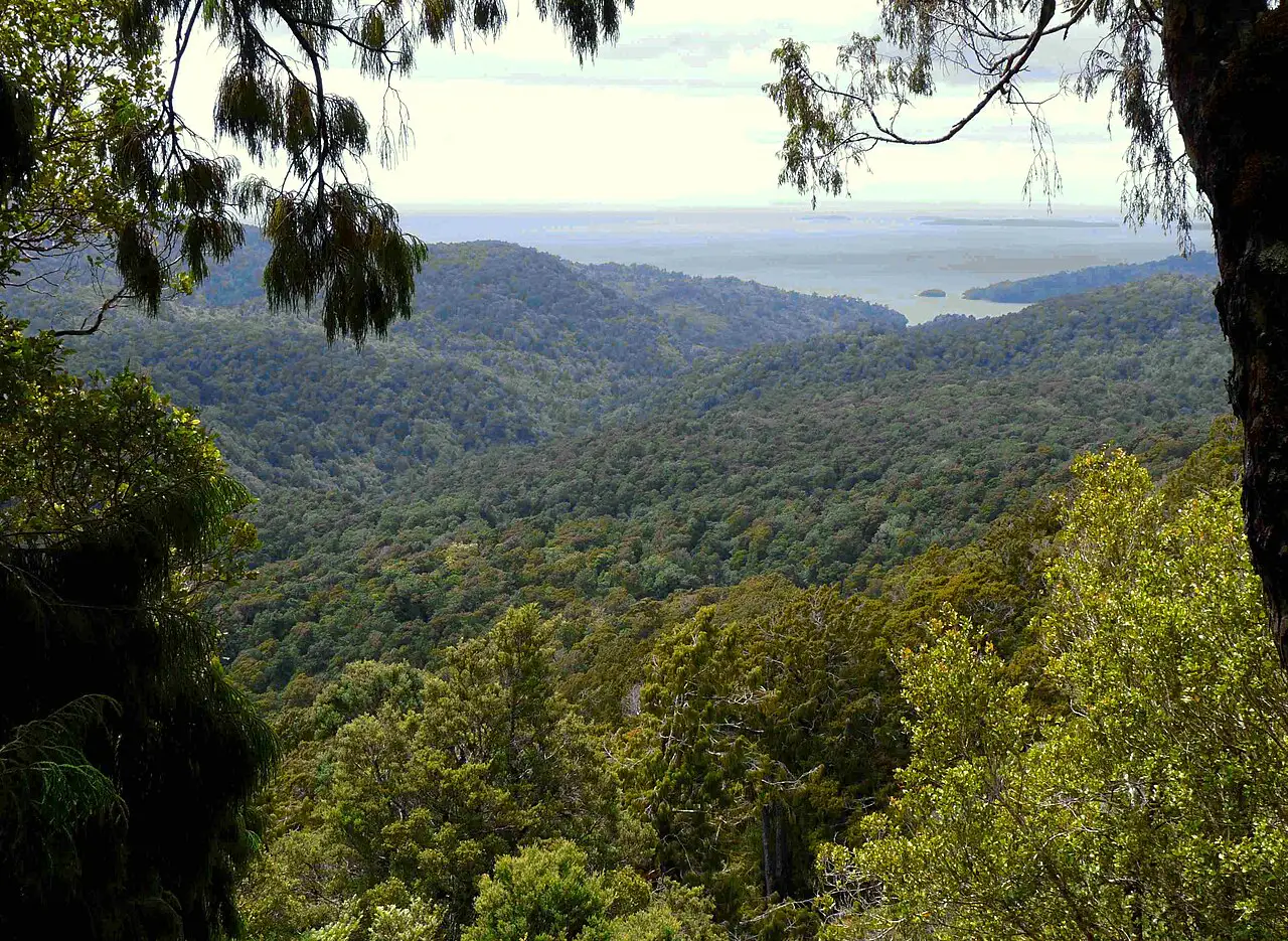 Rakiura National Park