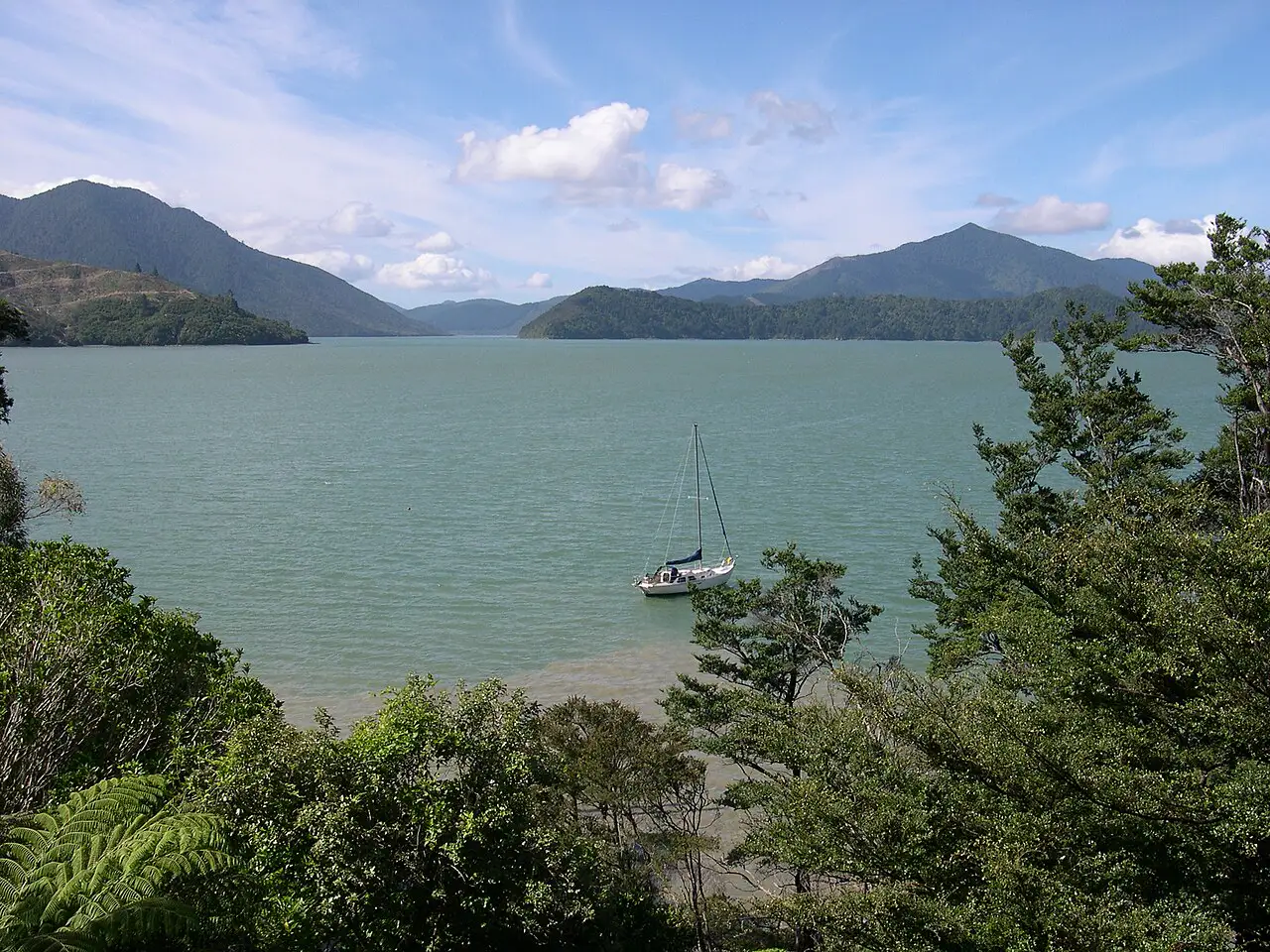 Pelorus Sound