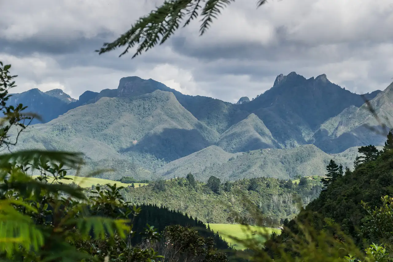 Coromandel Forest Park